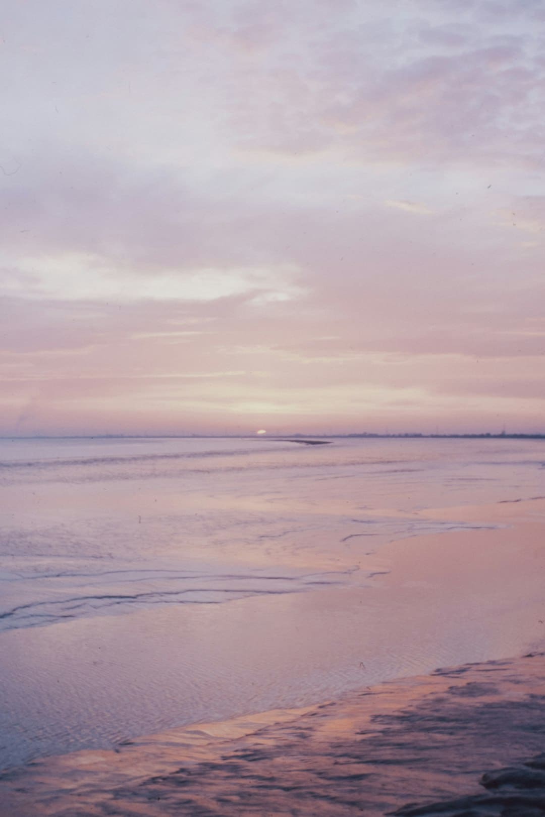 宋佳佟丽娅电影《轻于鸿毛》七夕定量点映 带上姐妹一同高兴动身